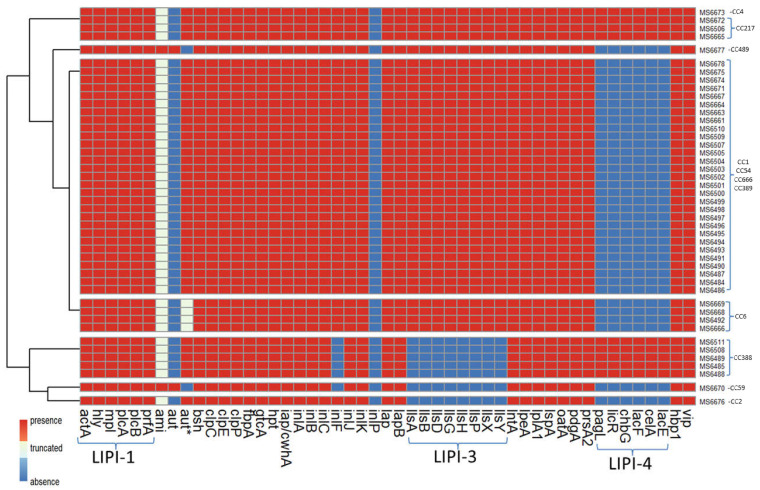 Figure 5