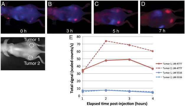 Figure 1