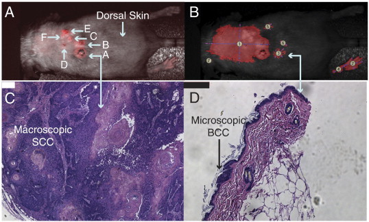 Figure 3