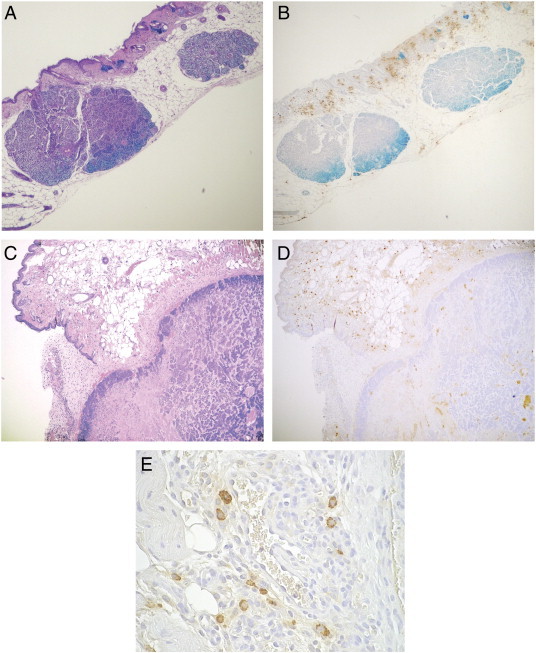 Figure 5