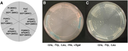 Figure 5.