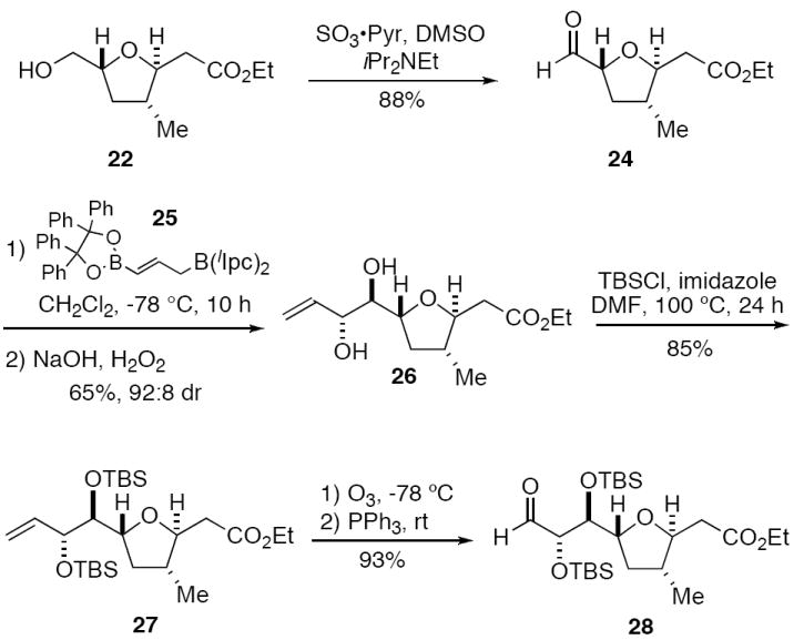 Scheme 5