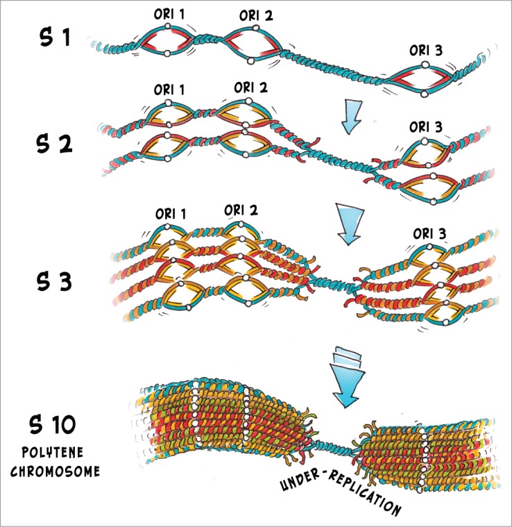 Figure 1.