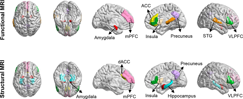 FIGURE 1: