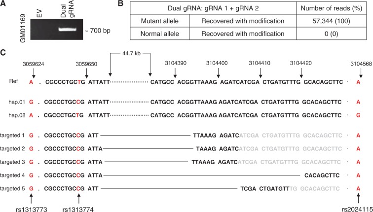 Figure 3.