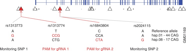 Figure 2.