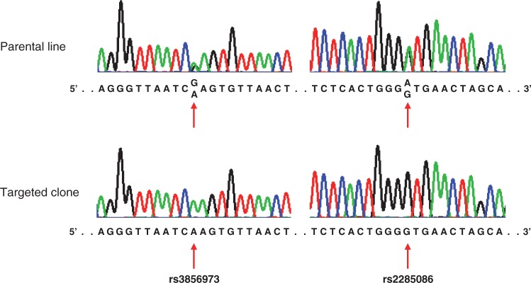 Figure 5.