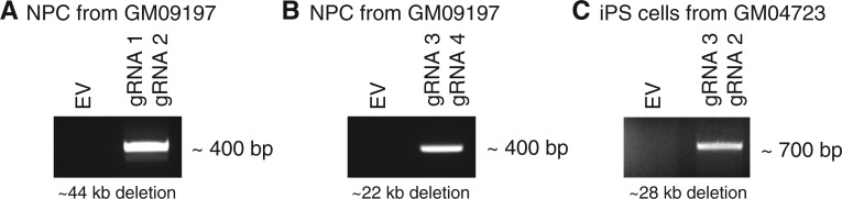 Figure 7.