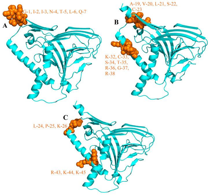 Figure 7