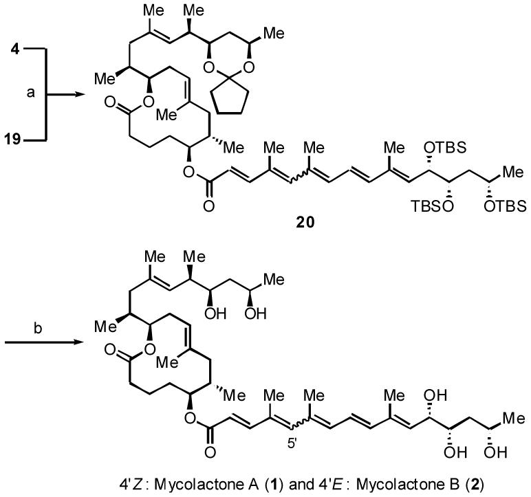 Scheme 7