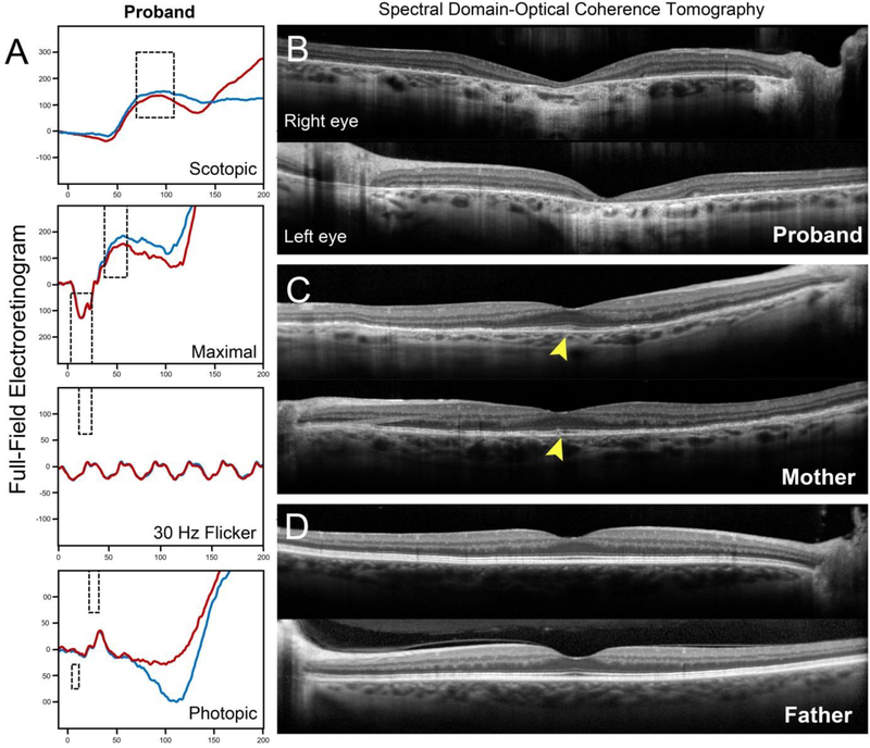 Figure 2: