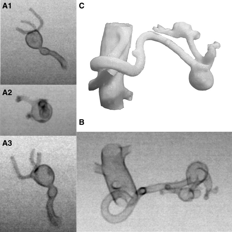 Figure 5.