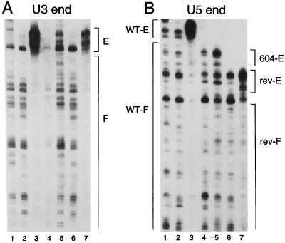 FIG. 5