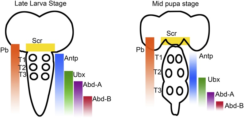 Fig. 4.