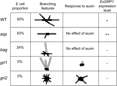 Figure 10.