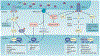 Fig. 3 |