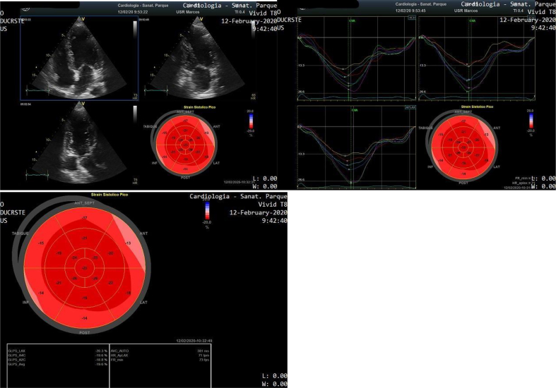 Fig. 4