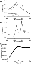 Fig. 7.