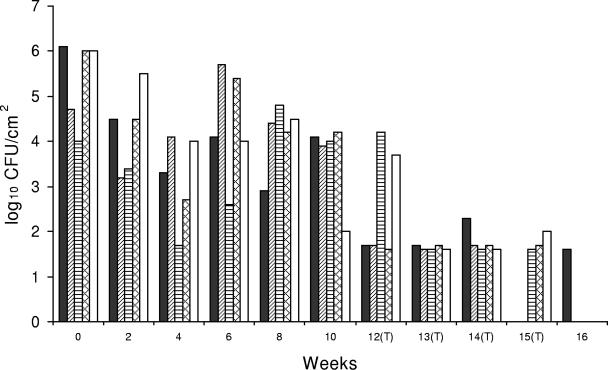 FIG. 3.