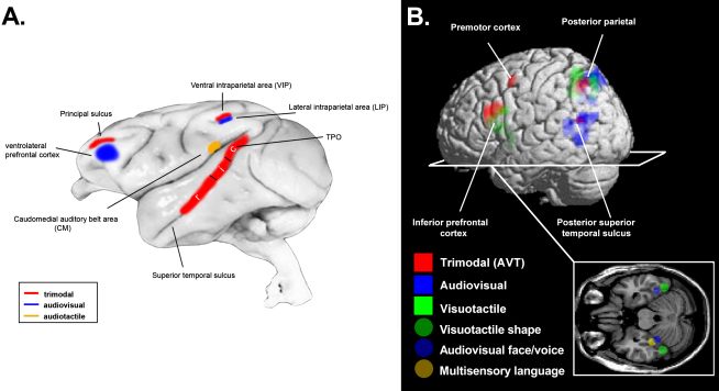 Figure 2