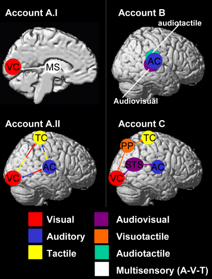 Figure 5