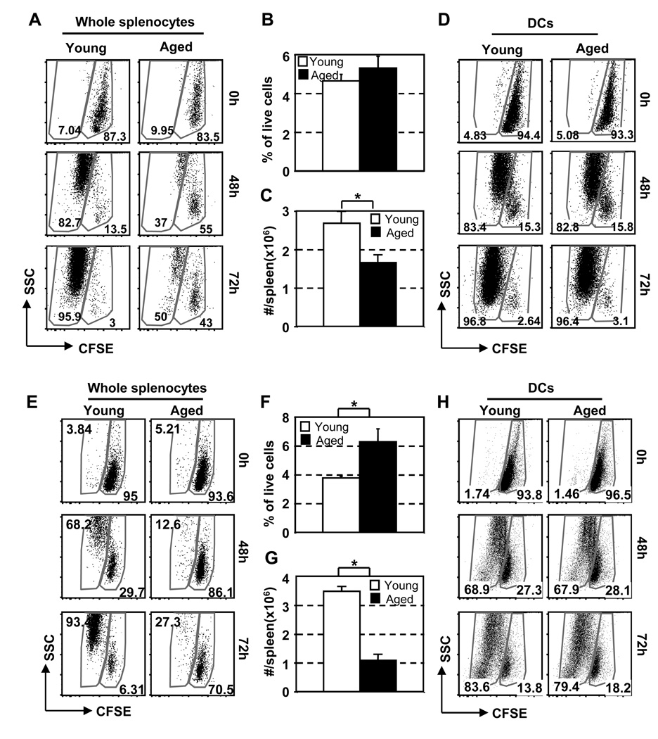 Fig. 5