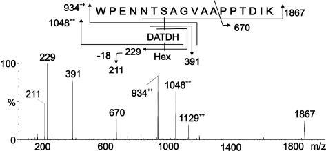 Fig. 5.