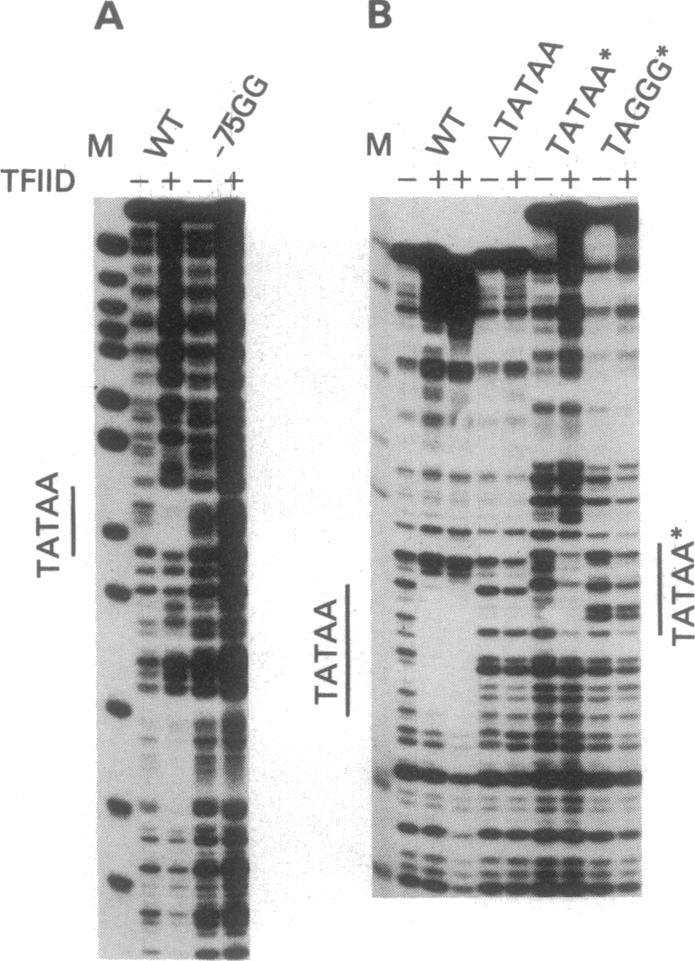 graphic file with name pnas01048-0107-d.jpg