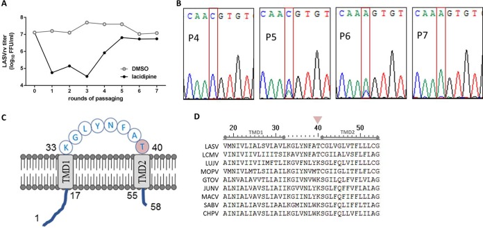 FIG 4