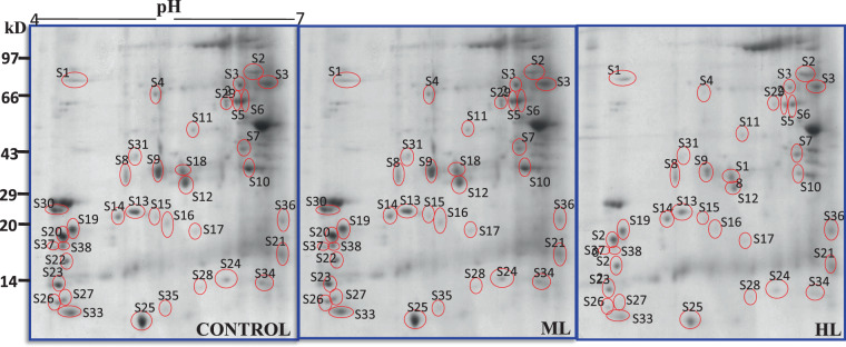 Figure 11