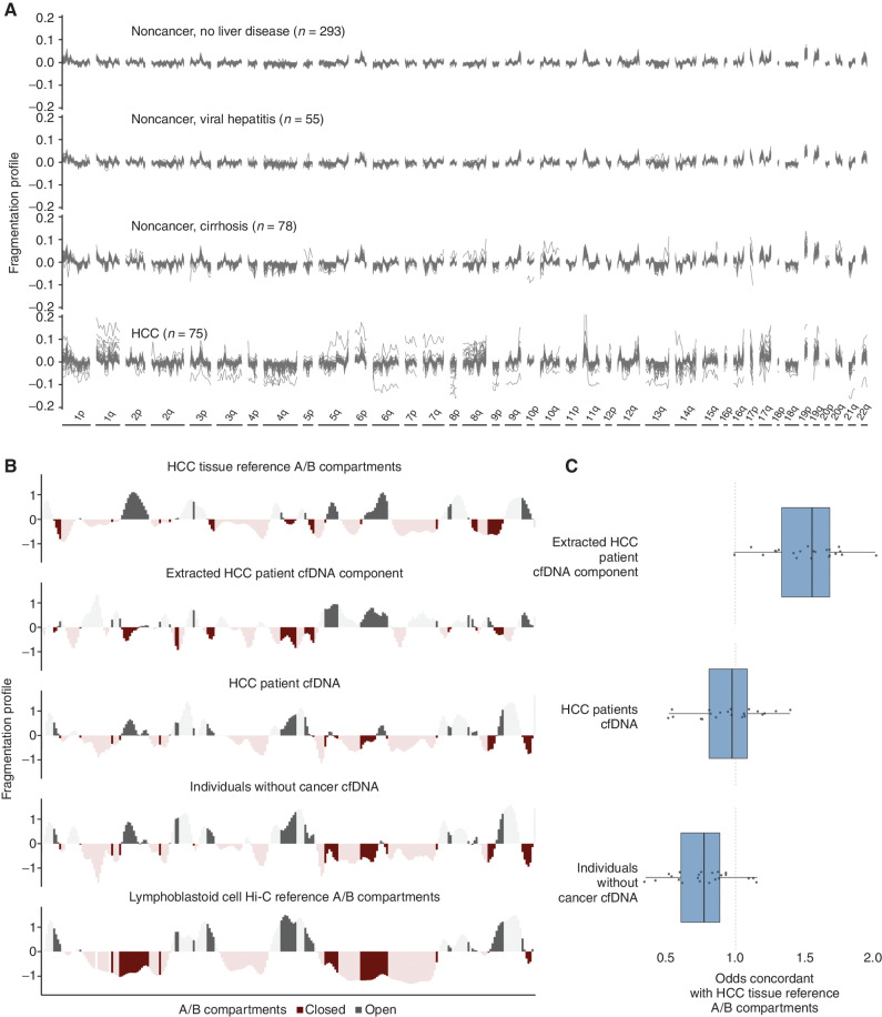 Figure 1. Genome-wide fragmentation profiles reflect underlying chromatin structure. A, Fragmentation profiles of 501 individuals in 473 nonoverlapping 5 mb genomic regions. Fragmentation profiles for cancer individuals show marked heterogeneity as compared with noncancer individuals with and without liver disease. B, Comparison of plasma fragmentation features to reference A/B compartments. Track 1 shows A/B compartments extracted from liver cancer tissue (28). Track 2 shows a median liver cancer component extracted from the HCC plasma samples of 10 liver patients with high tumor fraction by ichor CNA (56). Track 3 shows the median fragmentation profile in the plasma for these 10 HCC samples and track 4 shows the median profile for 10 healthy plasma samples. Track 5 shows A/B compartments for lymphoblast cells (28). These five tracks show chromosome 22 as an example, with darker shading indicating informative regions of the genome where the two reference tracks differ in domain (open/closed) or magnitude. C, among these informative bins, for each chromosome, the log odds of the plasma component matching the HCC reference track in domain. Log odds greater than 1 indicate more similarity to the HCC reference track, whereas log odds less than 1 indicate more similarity to the lymphoblast reference track. The extracted HCC component has the greatest similarity to the HCC reference track and the noncancer plasma has the greatest similarity to the lymphoblast reference track; the HCC plasma track is intermediate to the two.