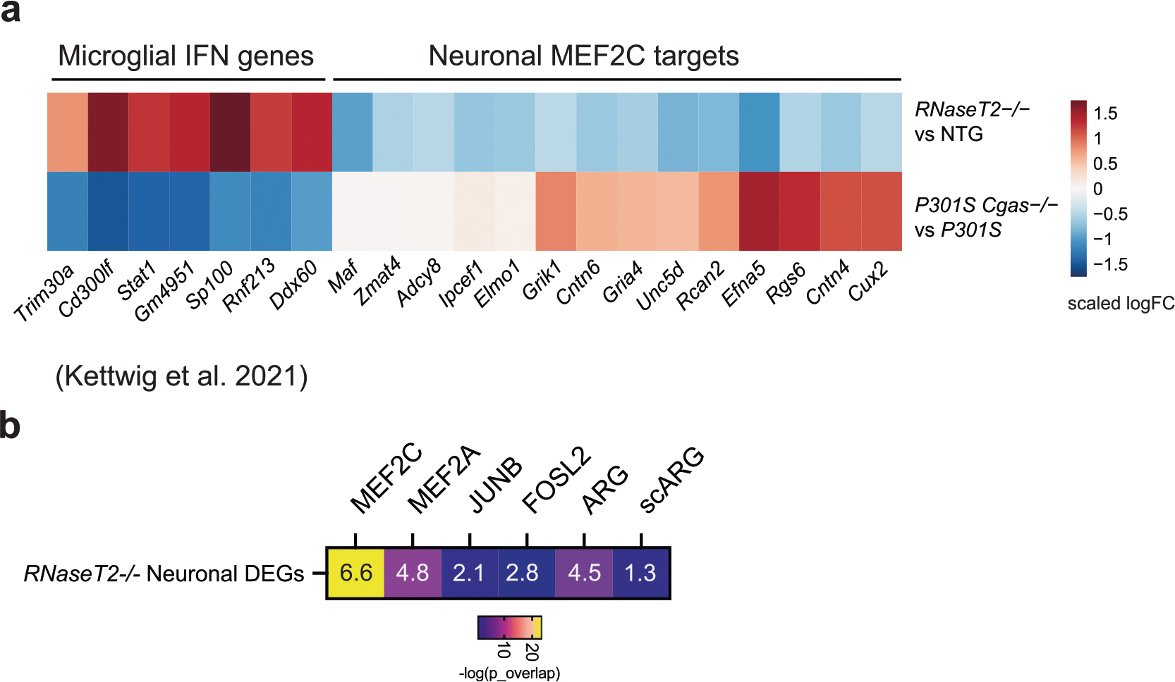 Extended Data Fig. 8 |