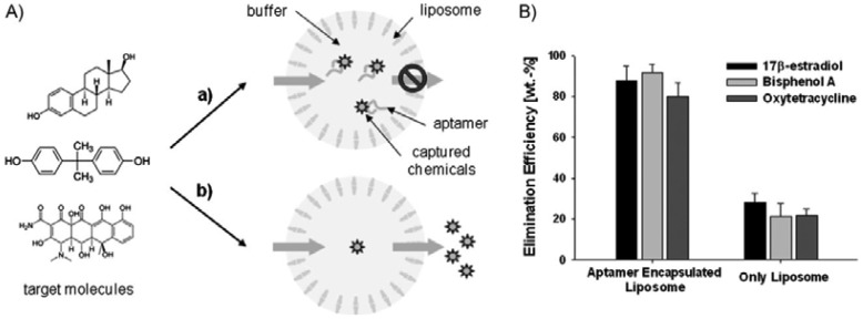 Figure 13.