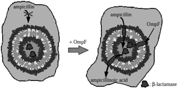 Figure 14.