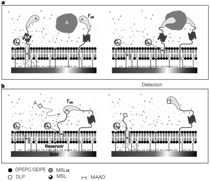 Figure 7.