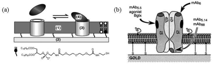 Figure 10.