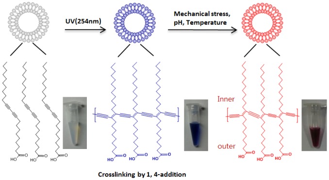 Figure 11.