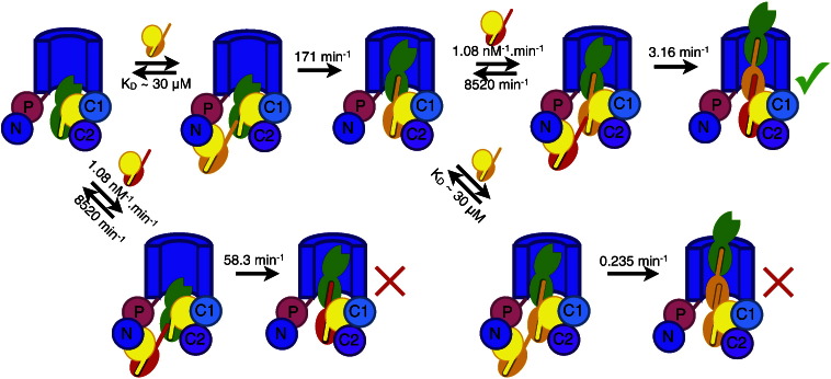 Fig. 4