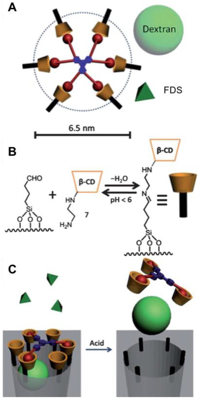 Figure 19