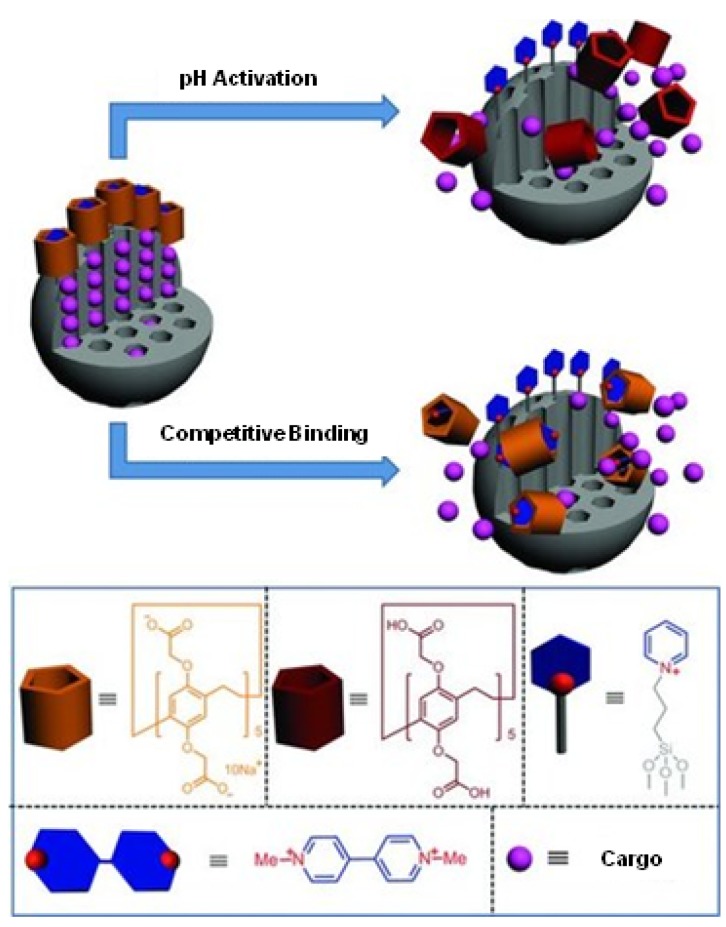 Figure 15