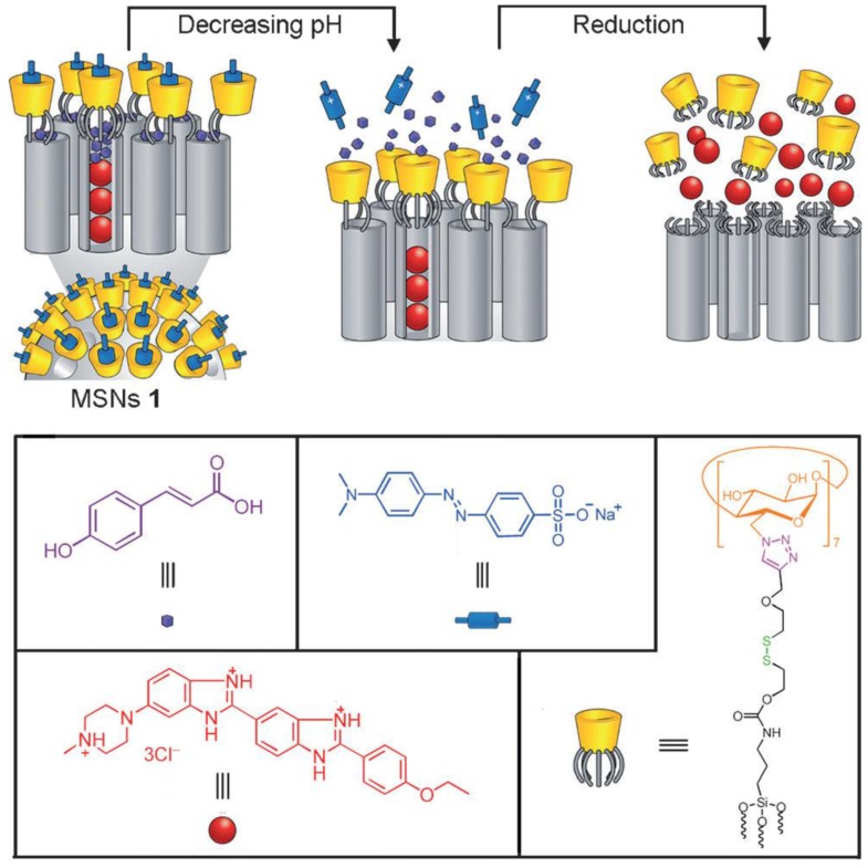 Figure 25