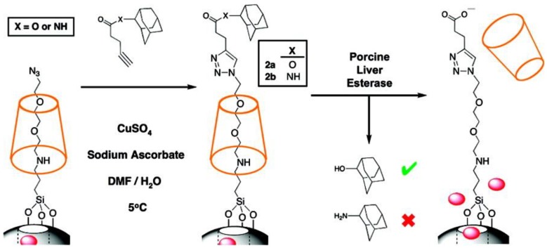 Figure 21