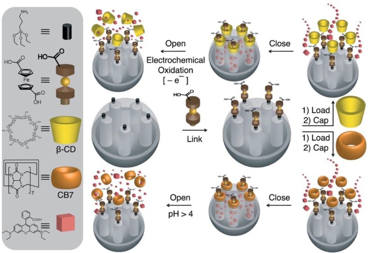 Figure 13