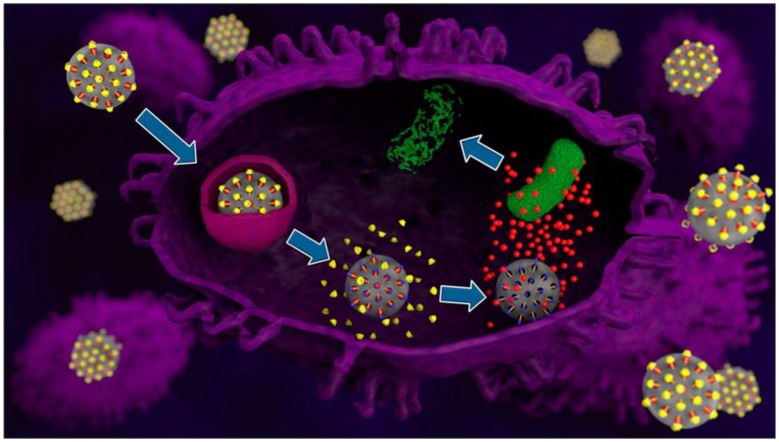 Figure 10