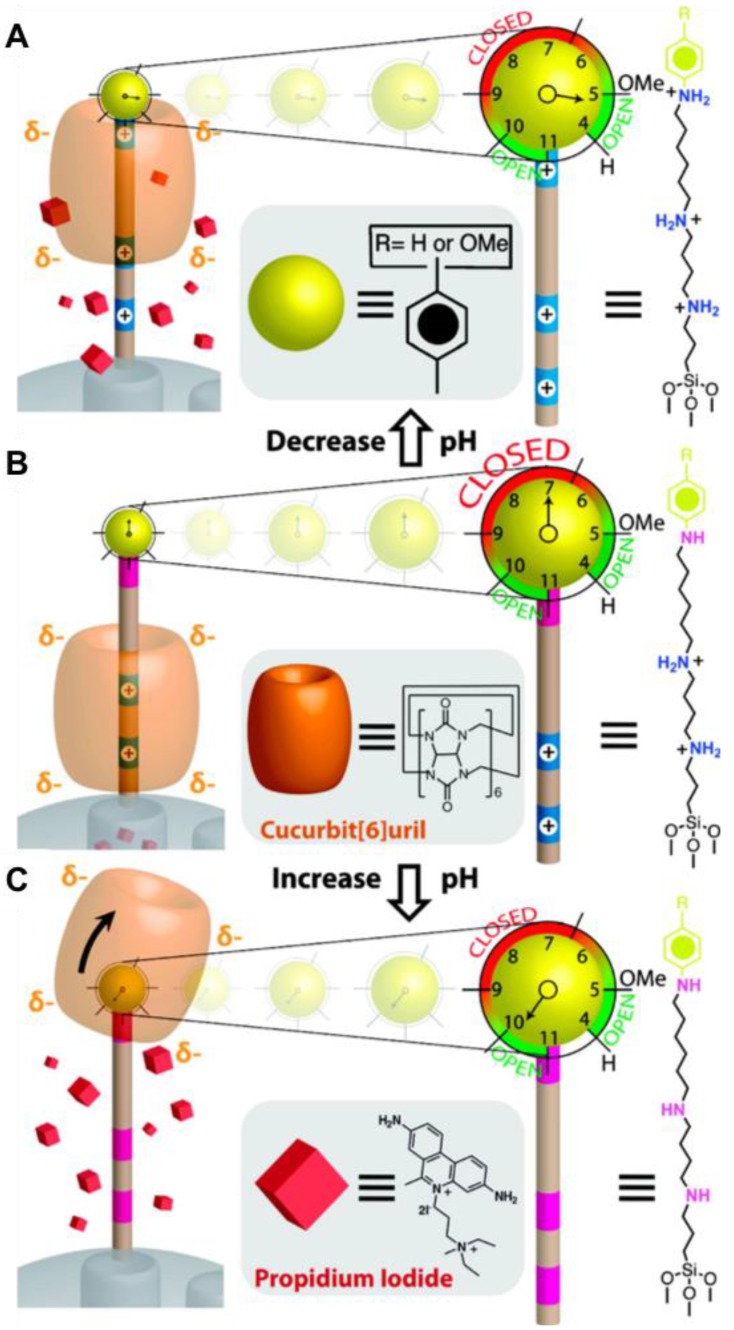 Figure 16