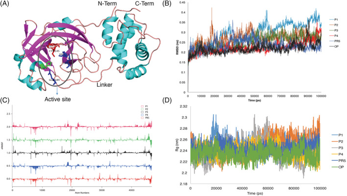 FIGURE 1