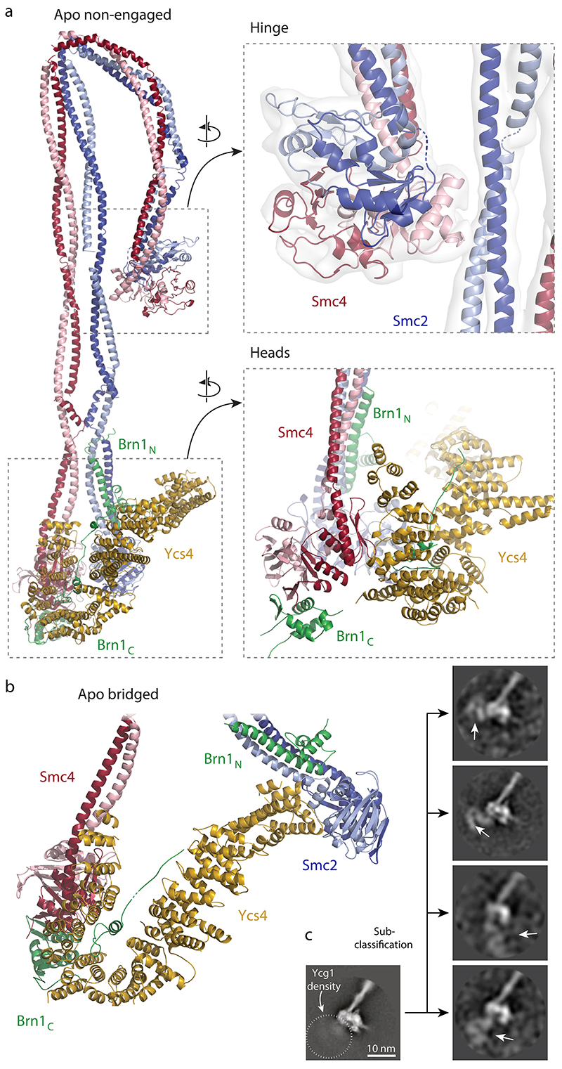 Fig. 2