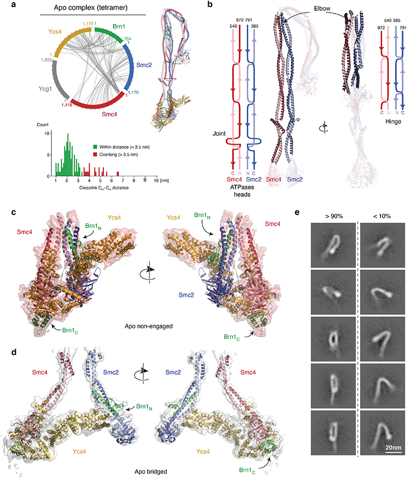 Extended Data Fig. 4