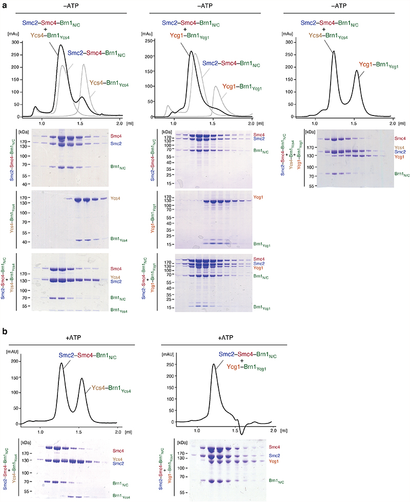 Extended Data Fig. 10