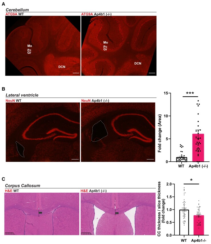 Figure 5